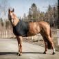 Preview: Back on Tack Schulterschutz Light für Pferde