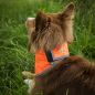 Preview: Back on Track Draco Bandana, Reflective Orange