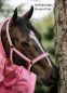Preview: Bucas Dublin Halfter, gepolstert & extrem leicht