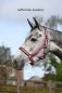 Preview: Bucas Dublin Halfter, gepolstert & extrem leicht