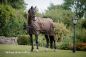 Preview: Bucas Irish Turnout Light/50 Regendecke in drei Farben: Navy, Espresso, Black