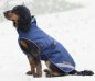 Preview: Bucas Therapy Dog Rug 300 Hundemantel