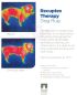 Preview: Bucas Recuptex Therapy Dog Rug - regenerierender Hundemantel