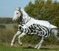 Preview: Bucas Buzz-Off Rain Zebra Full Neck (FN) Fliegendecke Regendecke