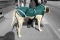 Preview: Bucas Greenline wasserdichter Hundemantel mit 100g Fütterung