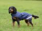 Mobile Preview: Bucas Therapy Dog Rug 150 Hundemantel