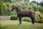 Preview: Bucas Irish Turnout Light/50 Regendecke + Neck