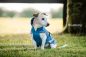 Preview: Bucas Freedom wasserdichter Hundemantel
