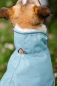 Preview: Bucas Freedom wasserdichter Hundemantel
