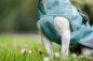 Preview: Bucas Freedom wasserdichter Hundemantel