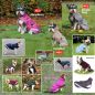 Preview: Bucas Freedom wasserdichter Hundemantel