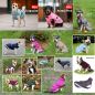Preview: Bucas Freedom wasserdichter Hundemantel
