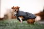 Preview: Bucas ReflectGlow Hundemantel, voll reflektierend, wasserdicht & atmungsaktiv