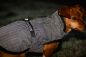 Preview: Bucas ReflectGlow Hundemantel, voll reflektierend, wasserdicht & atmungsaktiv