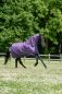 Preview: Bucas 2023: Freedom Turnout Light FN Regendecke mit Halsteil, Violet/Green