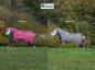 Preview: Bucas 2025/2026: Freedom Turnout Light FN Regendecke mit Halsteil, Raspberry & Smoke Grey