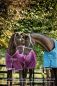 Preview: Bucas 2026/2027: Freedom Turnout 50g Regendecke, Blackberry & Blueberry
