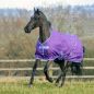 Preview: Bucas 2021: Freedom Turnout Light Regendecke, Purple/Blue