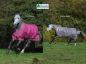 Preview: Bucas 2025/2026: Freedom Turnout Light Regendecke, Raspberry & Smoke Grey