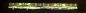 Preview: Imperial Riding Stirnband IRHFashionable Lime/Teal/Green