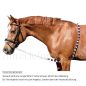 Preview: Imperial Riding Longierhilfe Ausbinder, Schwarz