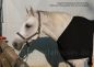 Preview: Imperial Riding Schulterschutz Brustschutz für Pferde