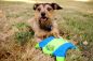 Preview: Hundespielzeug Chuckit! Flying Squirrel Frisbee