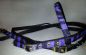 Preview: Tough 1 King Series Nylon Westernzaum Purple Zebra inkl. Split Reins