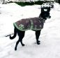 Preview: WeatherBeeta Thermo-Hundemantel Top Dog ab Gr. 30 cm