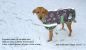 Preview: WeatherBeeta Thermo-Hundemantel Top Dog ab Gr. 30 cm