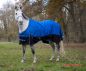 Preview: Equi Thème Tyrex Aisance 1200D Standard Regendecke (0g)