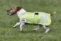 Preview: Busse Hundemantel Reflection