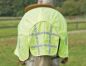 Preview: Busse  Be Seen Professional Western Ausreitdecke