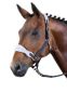 Preview: Busse Fleecehalfter Luzern