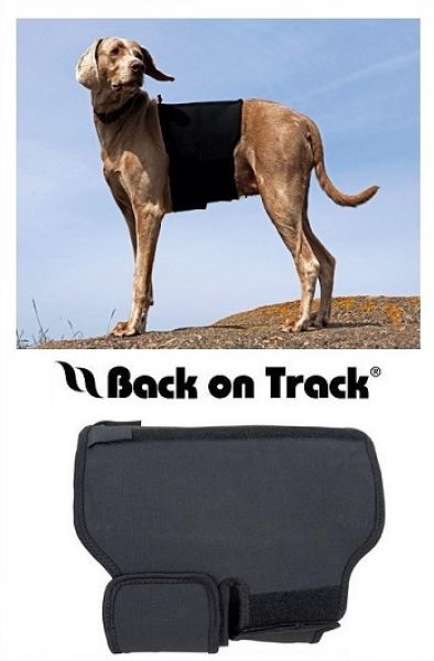 Back on Track Rückenschoner für Hunde Gr. M