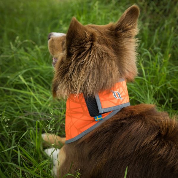 Back on Track Draco Bandana, Reflective Orange