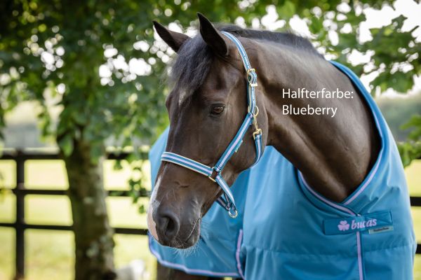 Preview: Bucas Dublin Halfter, gepolstert & extrem leicht