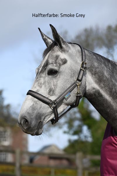 Bucas Dublin Halfter, gepolstert & extrem leicht