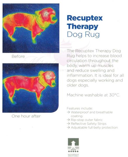 Bucas Recuptex Therapy Dog Rug - regenerierender Hundemantel, Gr. 30 cm