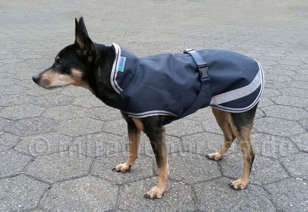 Bucas Freedom wasserdichter Hundemantel
