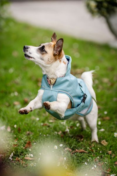 Bucas Freedom wasserdichter Hundemantel