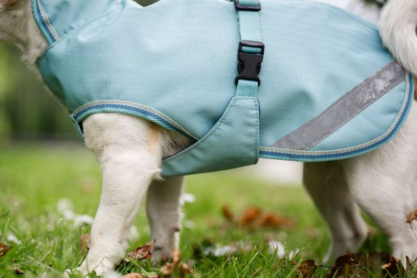 Bucas Freedom wasserdichter Hundemantel