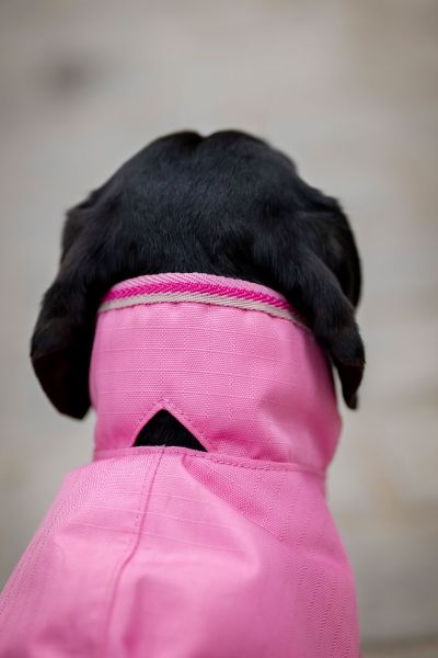 Bucas Freedom wasserdichter Hundemantel