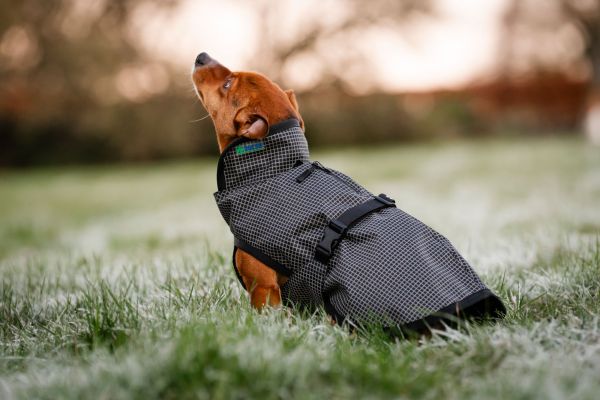 Bucas ReflectGlow Hundemantel, voll reflektierend, wasserdicht & atmungsaktiv