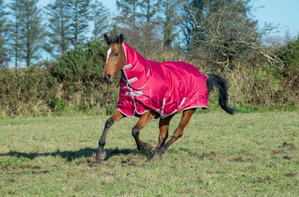 Bucas Freedom Turnout Light FN Regendecke mit Halsteil, Persian Red