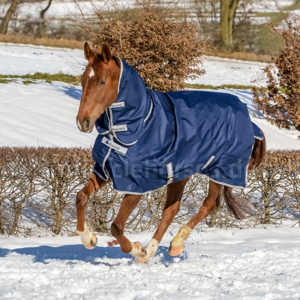 Bucas Freedom Turnout Light FN Regendecke mit Halsteil, Navy, Gr. 145 cm