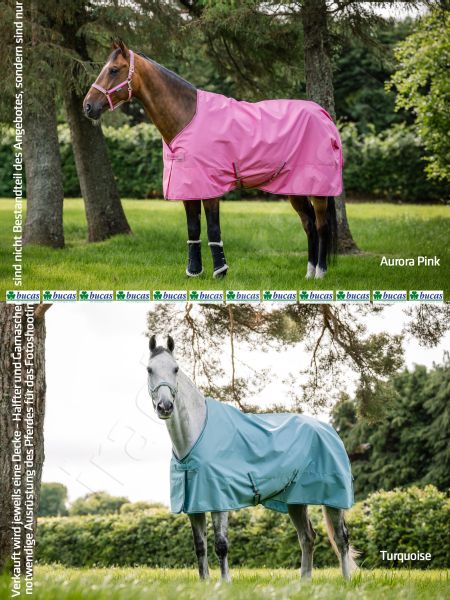 Bucas 2026: Freedom Turnout Light Regendecke, Aurora Pink & Turquoise