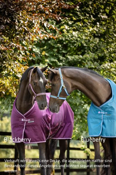 Bucas 2026/2027: Freedom Turnout 50g Regendecke, Blackberry & Blueberry