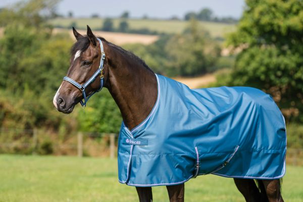 Bucas 2026/2027: Freedom Turnout 50g Regendecke, Blackberry & Blueberry