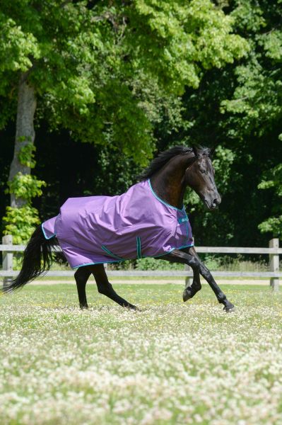 Bucas 2023: Freedom Turnout Light Regendecke, Violet/Green